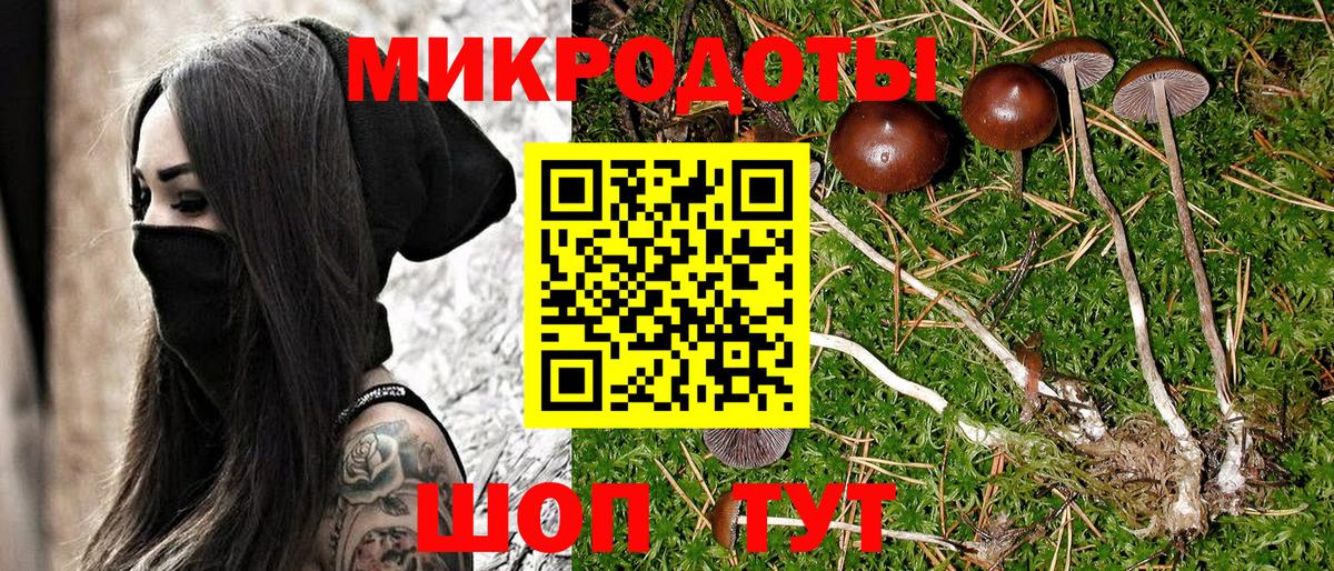 Советская Гавань  Псилоцибиновые грибы мицелий  дарнет шоп  Вход с VPN 